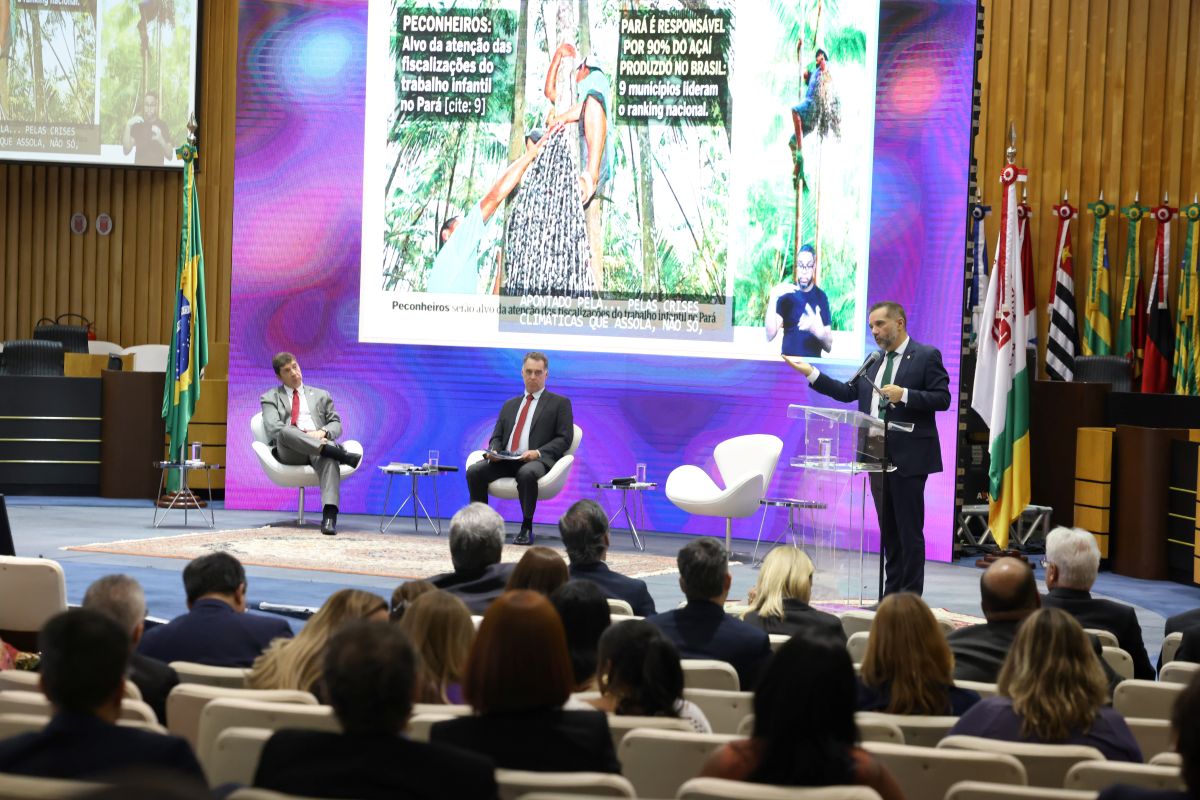 Participantes do painel Trabalho, Clima e Transição Justa: O Papel do Judiciário